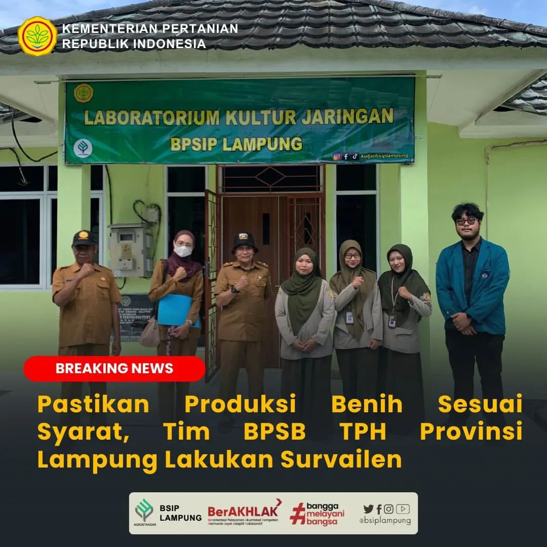 Pastikan Produksi Benih Sesuai Syarat, Tim BPSB TPH Provinsi Lampung Lakukan Survailen