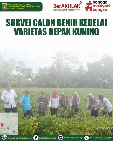Survey Calon Benih Kedelai Varietas Gepak Kuning untuk Sertifikasi Pemurnian Varietas