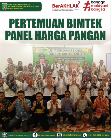 Bimtek Panel Harga Pangan di Provinsi Lampung