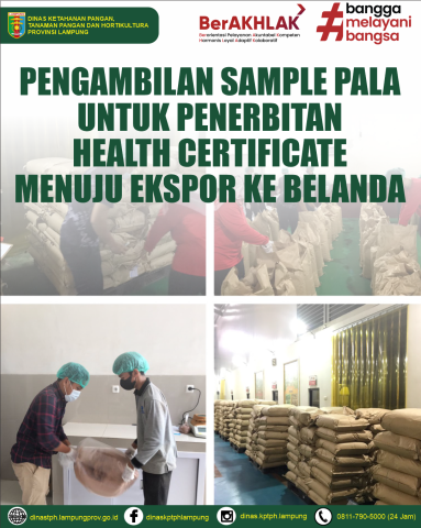 Tim OKKPD Provinsi Lampung Lakukan Pengambilan Sample Pala PT Darin Indo Utama untuk Penerbitan Health Certificate Menuju Ekspor ke Belanda