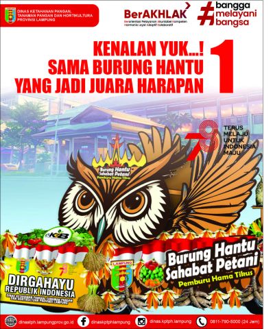 Kenalan Yuk...sama Burung Hantu yang jadi Juara Harapan Satu