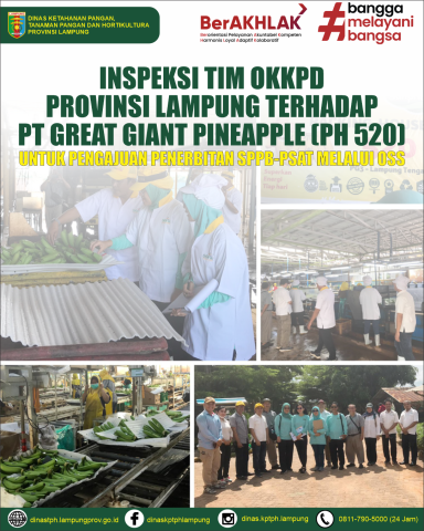 Inspeksi Tim OKKPD Provinsi Lampung terhadap PT Great Giant Pineapple (PH 520) untuk Pengajuan Penerbitan SPPB-PSAT Melalui OSS